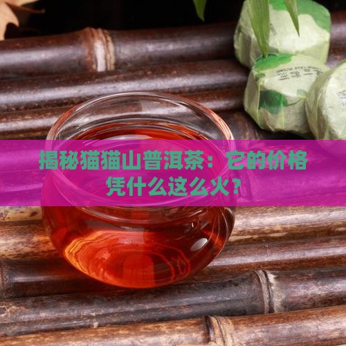猫猫山普洱茶价格