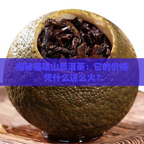 猫猫山普洱茶价格
