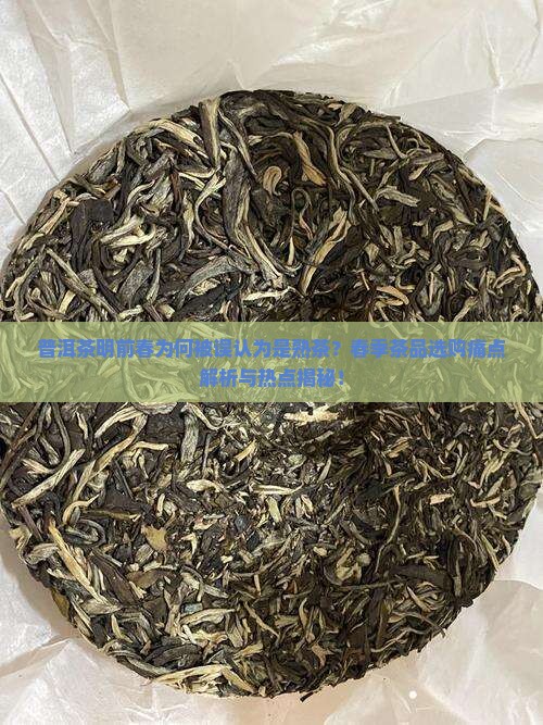 普洱茶明前春是熟茶
