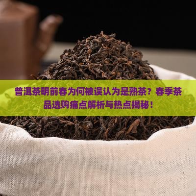 普洱茶明前春是熟茶