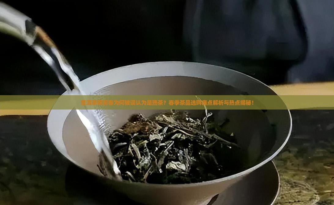 普洱茶明前春是熟茶