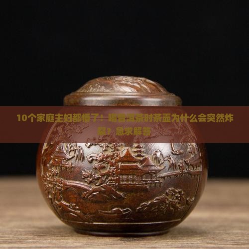 喝普洱茶如何撬茶壶