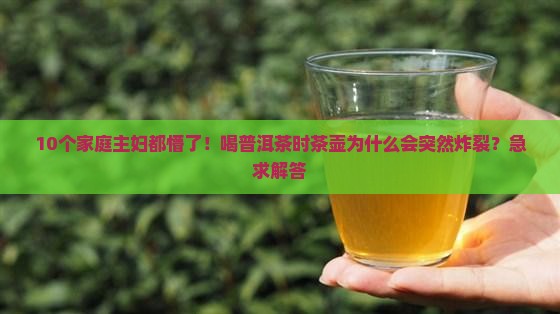 喝普洱茶如何撬茶壶