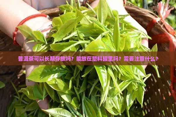 普洱茶可以放塑料罐吗