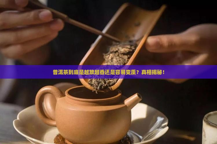 普洱茶怎么氧化快呢还是慢