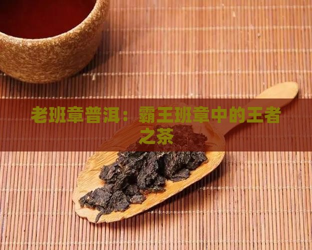 好茶源于老班章 好茶源于老班章