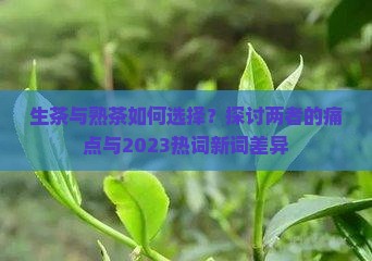 生茶和熟茶哪个好一点呢