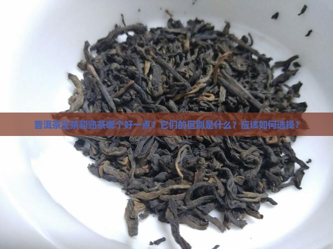 普洱茶生茶熟茶哪个好一点呢