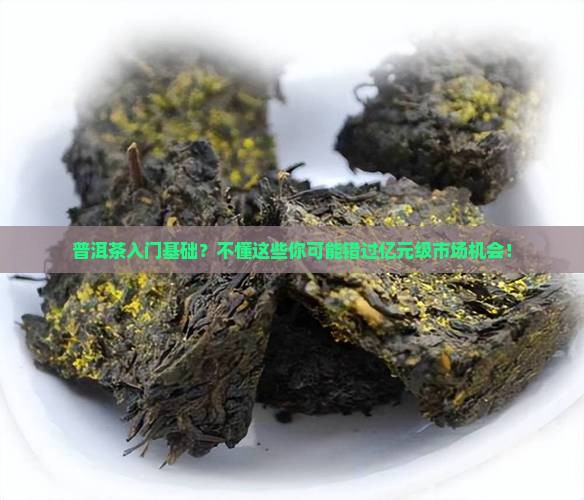 普洱茶入门基础