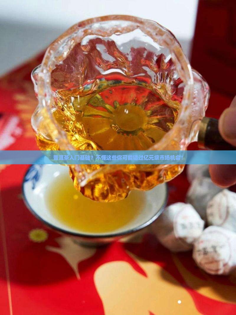 普洱茶入门基础