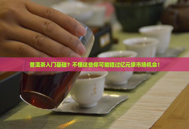 普洱茶入门基础