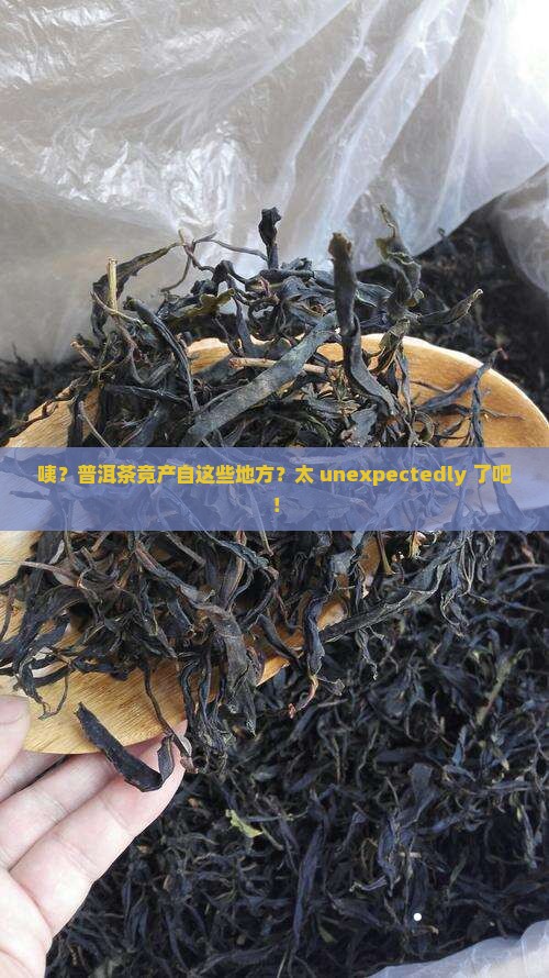 普洱茶主要产地