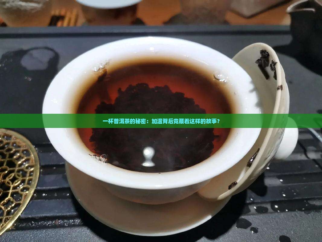 普洱茶加温杀虫