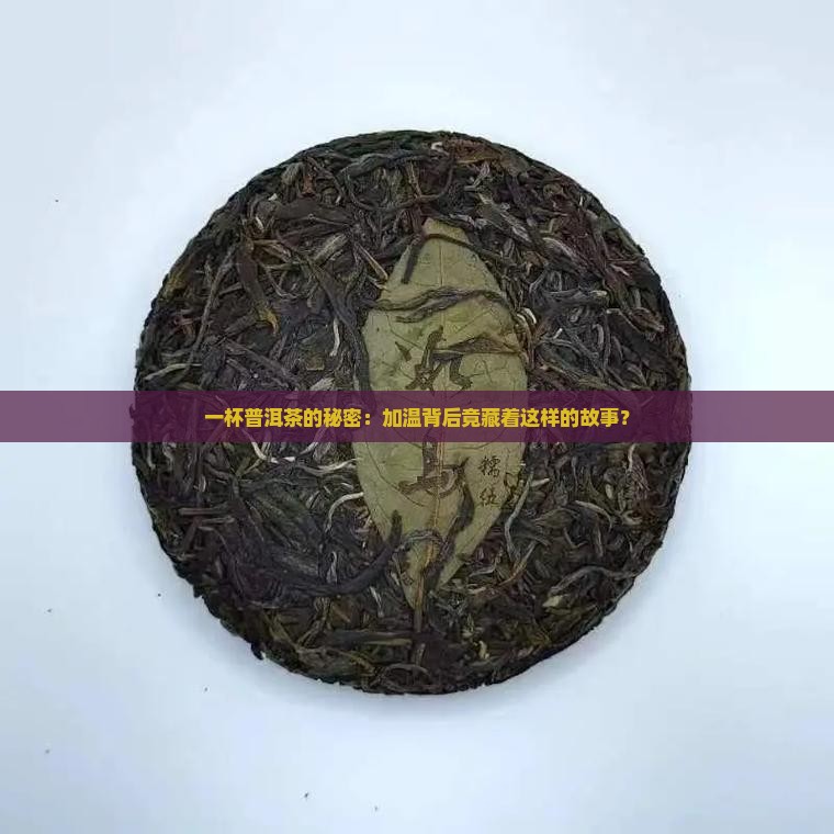 普洱茶加温杀虫
