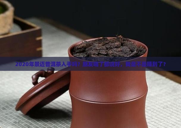 景迈普洱茶2020年
