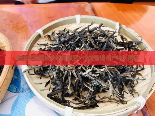 临沧市普洱茶产地在哪里呢