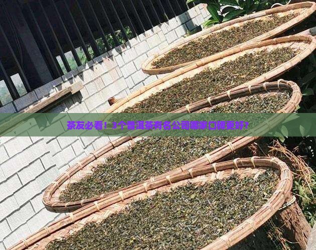 普洱茶有名公司