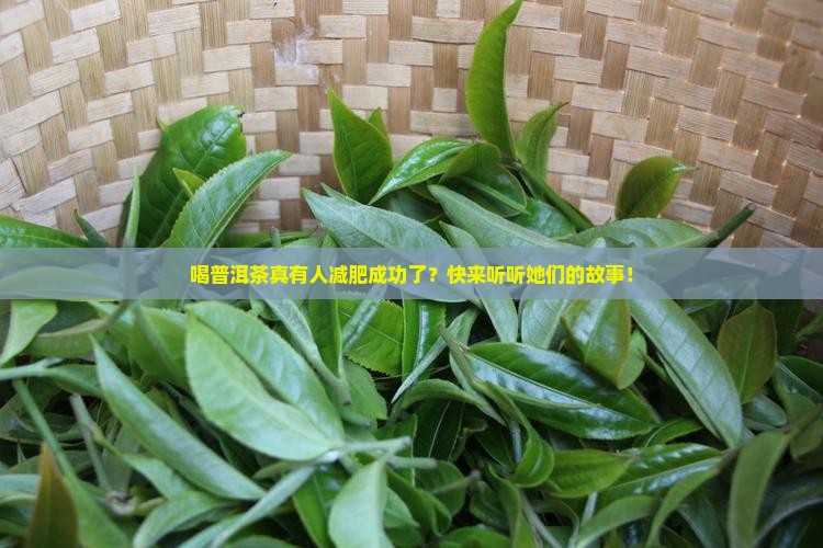 喝普洱茶有减肥成功的吗