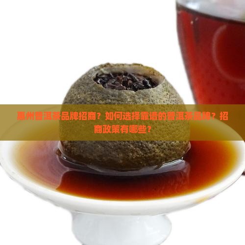 惠州普洱茶品牌招商