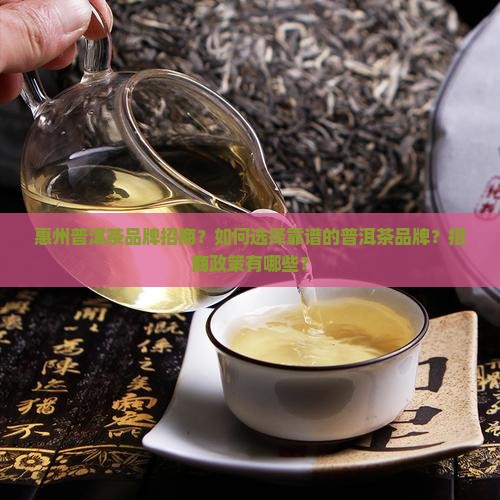 惠州普洱茶品牌招商