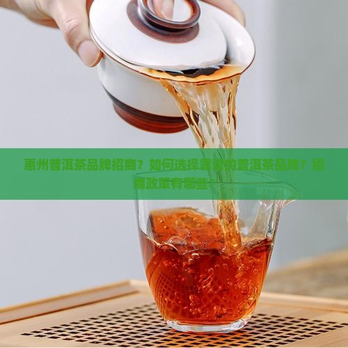 惠州普洱茶品牌招商