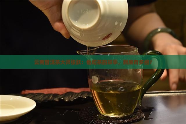云南普洱茶张跃老师