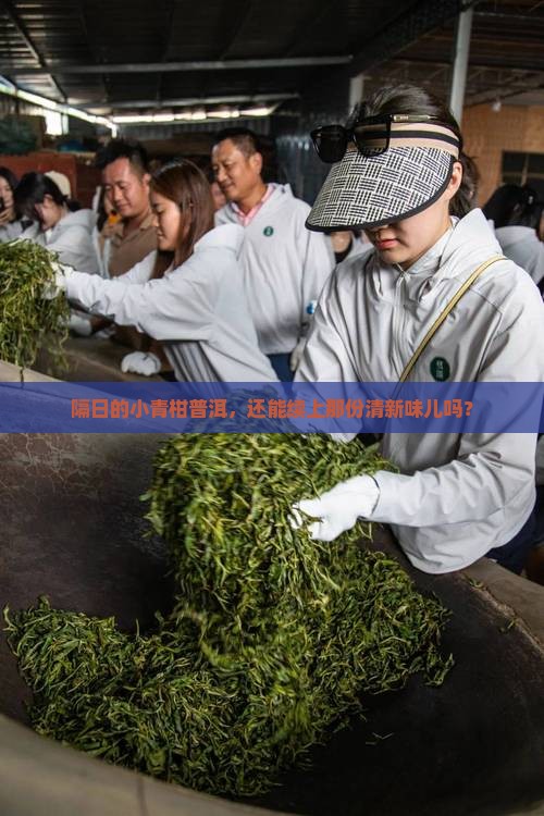 小青柑普洱茶隔日能喝吗