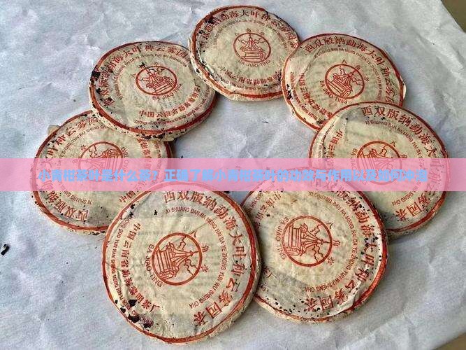 小青柑茶叶是什么茶