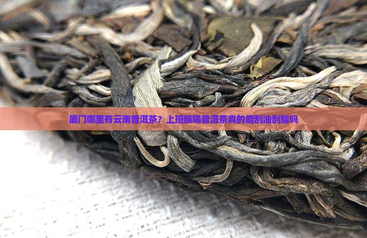 厦门哪里有云南普洱茶