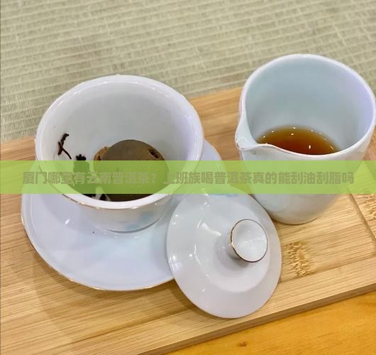 厦门哪里有云南普洱茶
