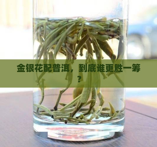 金银花和普洱茶哪种好
