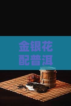 金银花和普洱茶哪种好