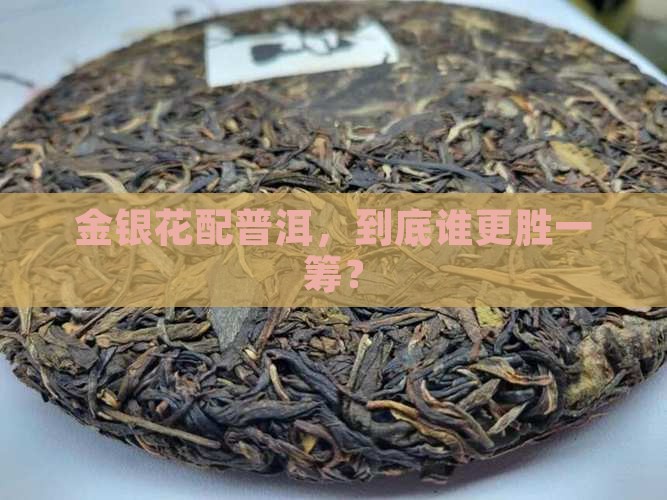金银花和普洱茶哪种好
