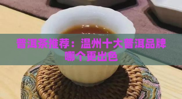 温州熟普洱茶哪个品牌好