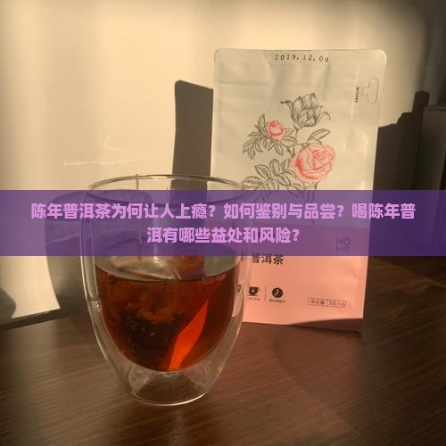 喝上瘾陈年普洱