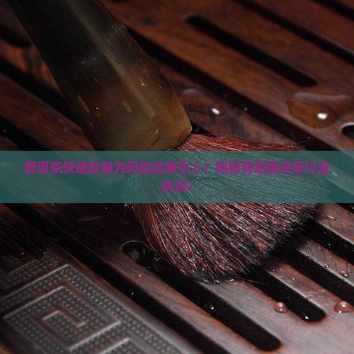 普洱茶快速发效人