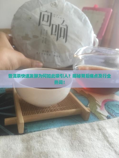 普洱茶快速发效人