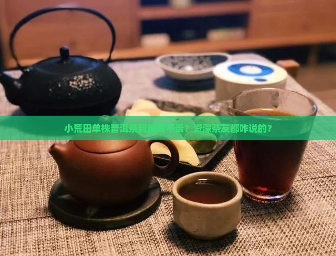 小荒田单株普洱茶价格多少