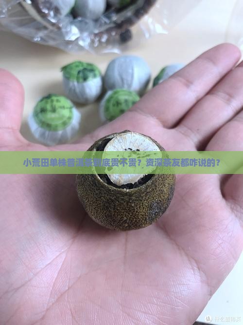 小荒田单株普洱茶价格多少