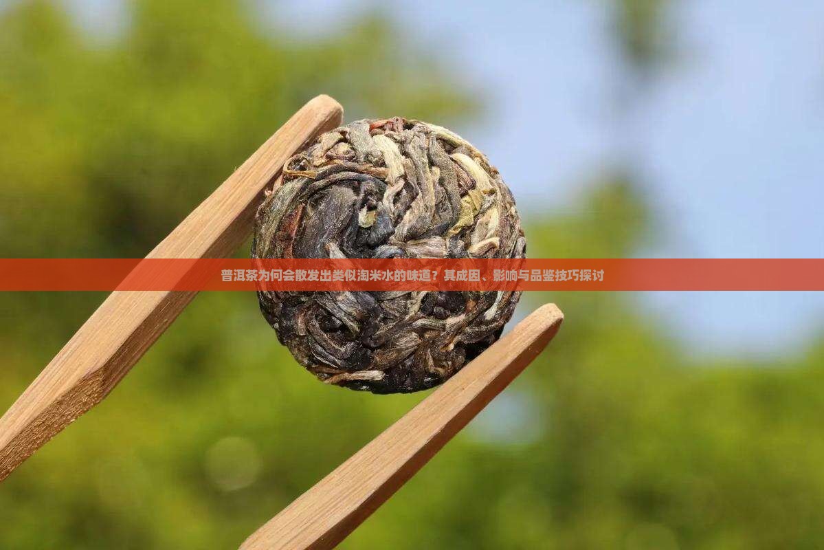 普洱茶是不是有股淘米水味 普洱茶是不是有股淘米水味
