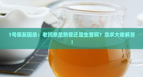 老班章属于熟普还是生普