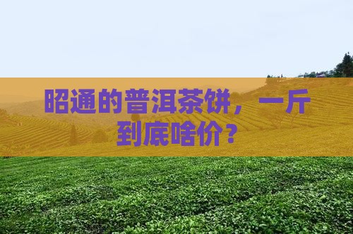 昭通普洱茶饼多少钱一斤