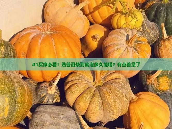 熟普洱茶泡多久才可以吃
