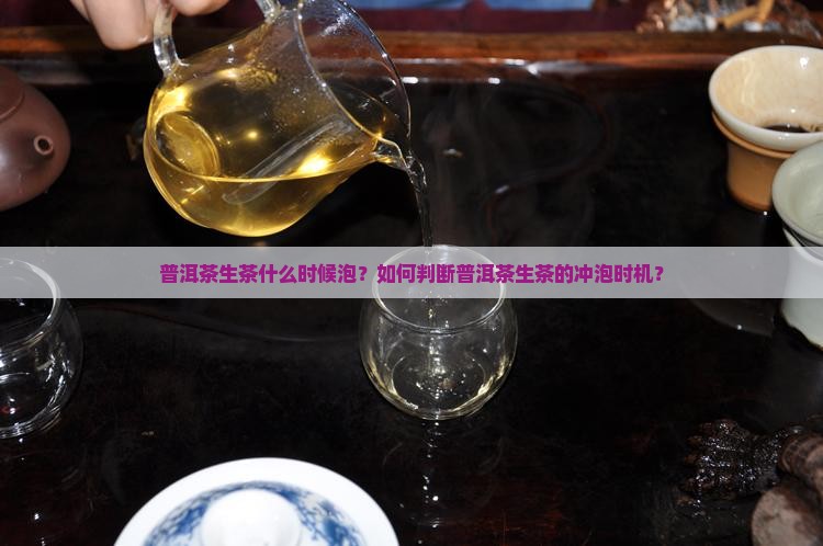 普洱茶生茶什么时候泡