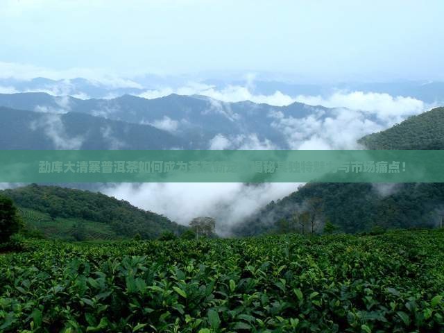 勐库大清寨普洱茶