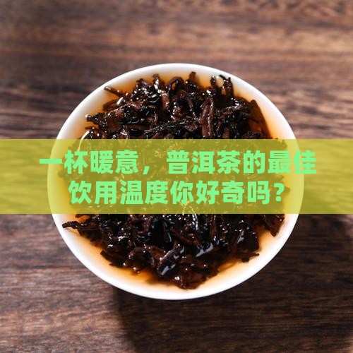 普洱茶适合什么温度喝
