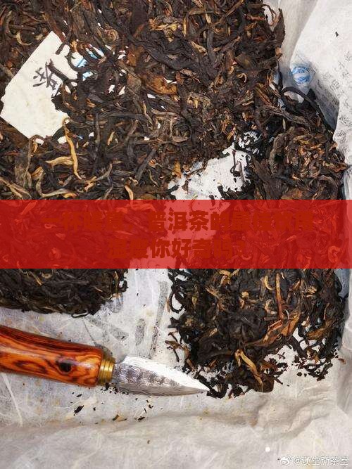 普洱茶适合什么温度喝