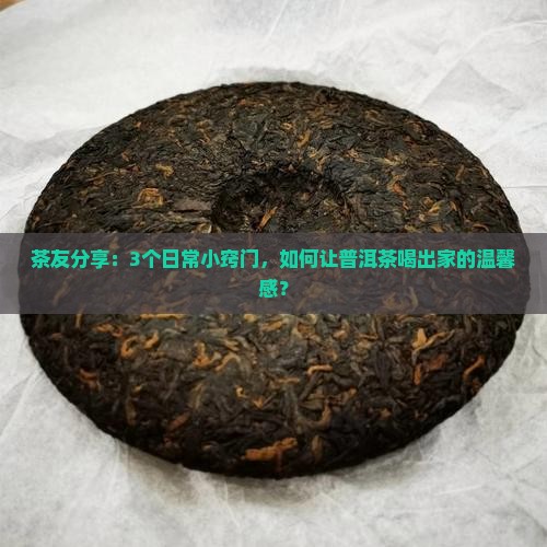 形容普洱茶段落