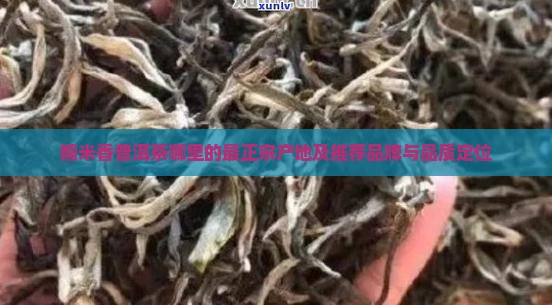 糯米香普洱茶哪里的