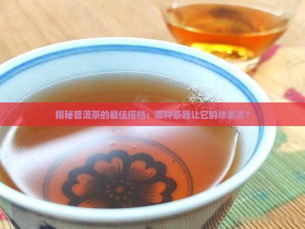 普洱茶的绝配茶器